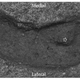 Imagen para el artículo titulado Esta huella humana es, posiblemente, la más antigua jamás encontrada en América